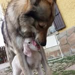 Franco Massaro - @franco.massaro.54 - Instagram