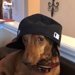 Franco Pad - @franco._padilla - Instagram