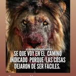 Franco Pineda - @franco_pineda_ - Instagram