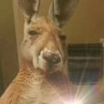 Franco Pineda - @franco_pineda_1 - Instagram