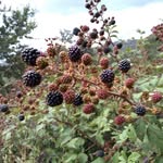 Franco Piras - @franco.piras.72 - Instagram