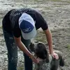 franco_valdess - @franco_valdess - TikTok
