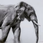 Francois Botha - @francoisbothaart - Instagram