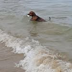 Francois Bourdon - @francois.bourdon.73 - Instagram