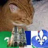 Francois Brochu - @francoisbrochu - TikTok