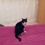 Francoise Dumesnil - Facebook