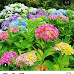 gratton francoise - @francoisegratton0255 - Instagram