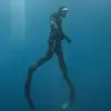 François Murphy - @francois835 - TikTok