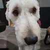 François Nadeau - @franois.nadeau - TikTok