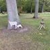 Francois Netter - Facebook