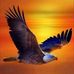 Frank Abrams - Facebook