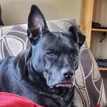 Frank Acker - @franka5320 - Instagram