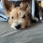 Frank Ackermann - @frank.ackermann - Instagram