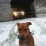 Frank Adkins - @frank.stinson.adkins - Instagram
