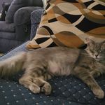 Frank Adkins - @frankadkins42 - Instagram