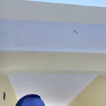 Frank Adolph - @frank.adolph.374 - Instagram