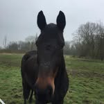 Frank Adolph-Schröder - @schroedi_04 - Instagram