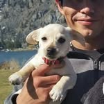Thomas Frank Adolph Adolph - @thomas50adolph - Instagram