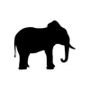 SAFARI FRANK - @safarifrank - TikTok