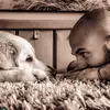 Frankalbrecht24 - @frankalbrecht247 - TikTok