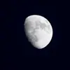 frank.albrecht - @frank.albrecht - TikTok