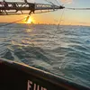 f - @frankalcala82 - TikTok