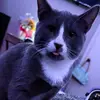 M - @frankgalger - TikTok