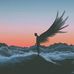 Frank Alicea JR. - Facebook