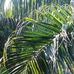 Frank Adward Gabriel Kapangama - Facebook