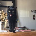 Frank Alston - @fr.alston - Instagram