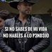 Frank Amado - Facebook