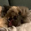 Frank_bijou_river - @frank_damelio - TikTok