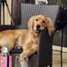 Frankie Arcaro - Facebook