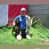 Koki-Cr - @frankarce25 - TikTok