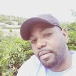 Frank Garden Garden - @frankgardengarden - Instagram