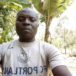frank arone - @arone_frank - Instagram