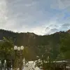 Frank_Barone - @frank_baronee - TikTok