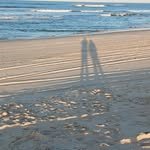Fran Atchison - @fran.atchison704 - Instagram