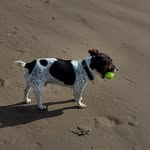 Frank Feather - @feathertonfrank - Instagram