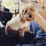 Frankie Atherton-Mays - @frankie.athertonmays - Instagram