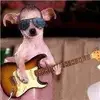 Franky - @frankatherton333 - TikTok