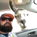 Frank  Ayers - @tinnon55 - Instagram