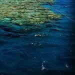 Frank Babbia - @frankbabbia - Instagram