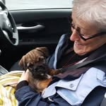 Frank Bain - @bainfrank - Instagram