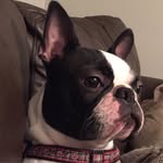 frankbaird3 - @frankbaird3 - Instagram