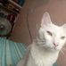 Franklin Ballesteros - Facebook