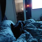 Frank Balzer - @scheisshaufen - Instagram