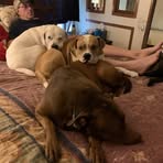 Frank Bare - Facebook