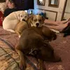 Frank Bare - @frank.bare2 - TikTok