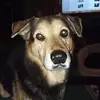 Frank Barger - @frank.barger3 - TikTok